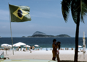 LEICA M6, SUMMICRON 2/50